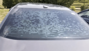 poor quality bubbling window tint